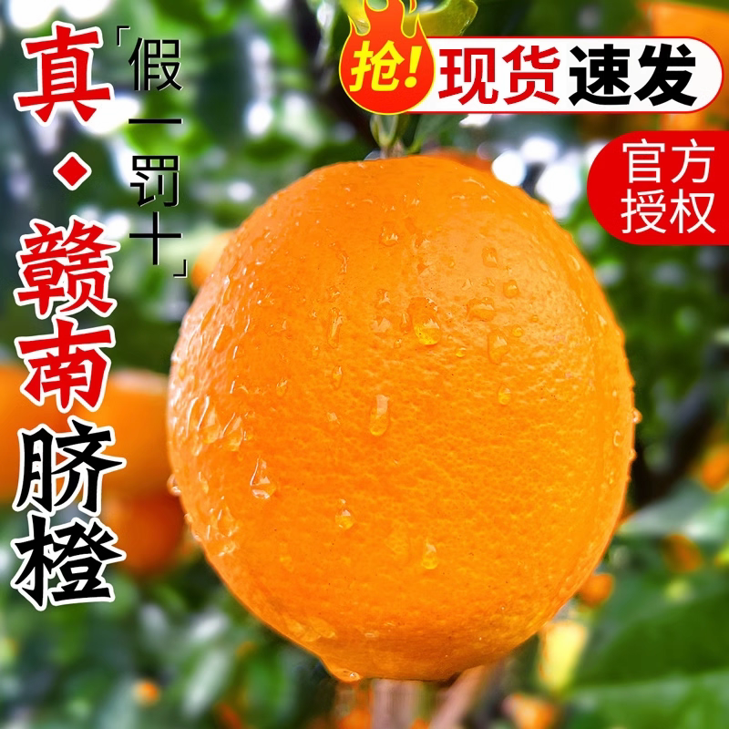 江西赣南脐橙3斤5斤9斤大中果王新鲜橙赣南脐橙批发一件代发手剥冰糖甜橙果冻橙赣州